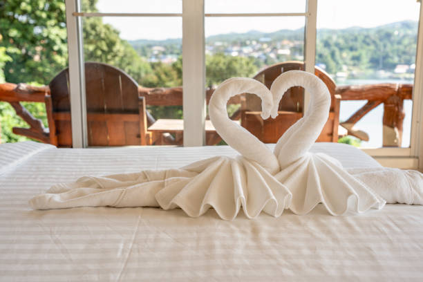 Beyond the Fold: 30 Towel Origami Creations to Unleash Creativity